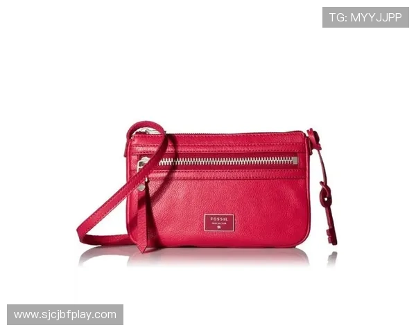 PG包包官方网站2024年最新款式发布及购买指南全方位推荐